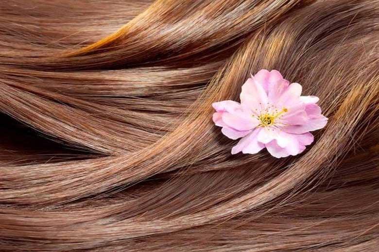 ترفندهایی برای رشد سریع مو ها ترفندهایی برای رشد سریع مو ها