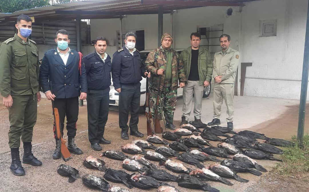 شکارچی 42 قطعه پرنده ماهی خوار مهاجر در دام نیروی محافظت شکارچی 42 قطعه پرنده ماهی خوار مهاجر در دام نیروی محافظت از محیط زیست گیلان