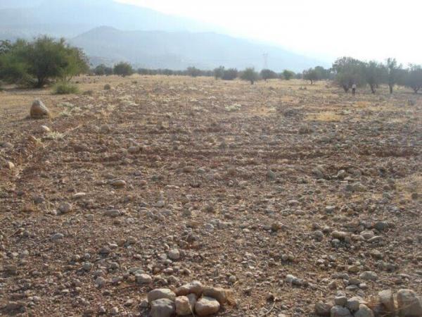 خبرنگاران سند تک برگ سه هزار هکتار از اراضی ملی در پاسارگاد خبرنگاران سند تک برگ سه هزار هکتار از اراضی ملی در پاسارگاد صادر شد