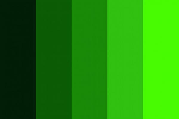 روانشناسی رنگ ها؛ سبز رنگ آرامش یا هیجان؟!