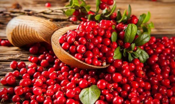 6 گزینه غذایی که خستگی را از بین می برند 6 گزینه غذایی که خستگی را از بین می برند