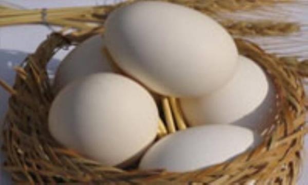 مزایای تخم مرغ های پاستوریزه مزایای تخم مرغ های پاستوریزه