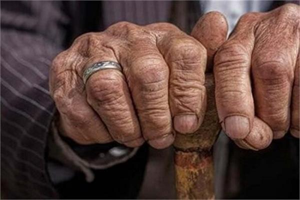 بیش از 31 هزار خانوار سالمند تحت حمایت کمیته امداد خراسان بیش از 31 هزار خانوار سالمند تحت حمایت کمیته امداد خراسان شمالی