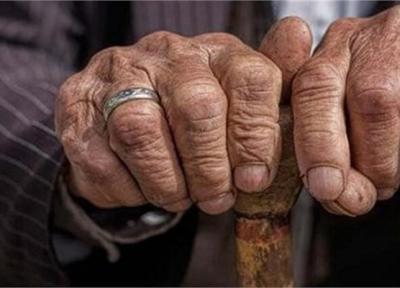 بیش از 31 هزار خانوار سالمند تحت حمایت کمیته امداد خراسان شمالی