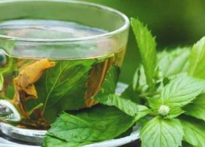 8 خاصیت چای پونه برای سلامتی