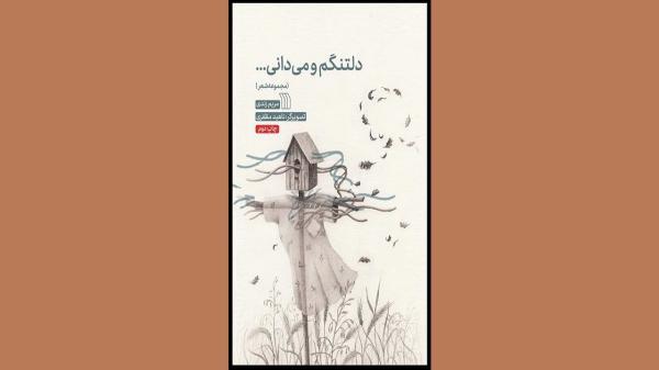 دلتنگم و می دانی از چشم انتظاری می گوید دلتنگم و می دانی از چشم انتظاری می گوید