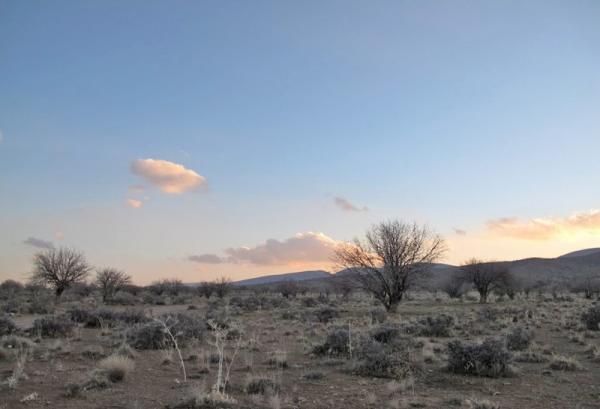 منطقه شکار ممنوع کوه سیاه