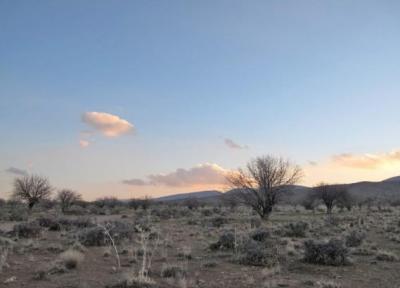 منطقه شکار ممنوع کوه سیاه