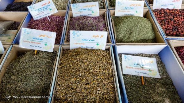تبلیغ اقدامات درمانی طب سنتی و داروهای گیاهی نیازمند اخذ تبلیغ اقدامات درمانی طب سنتی و داروهای گیاهی نیازمند اخذ مجوز از نظام پزشکی
