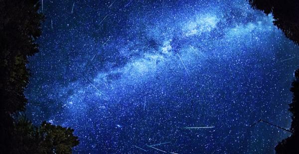 بارش شهابی Perseid را این هفته از دست ندهید بارش شهابی Perseid را این هفته از دست ندهید